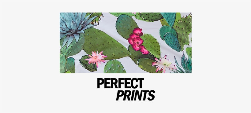 Printed Bikinis And Swimsuits - Freya Bikini Cactus, transparent png
