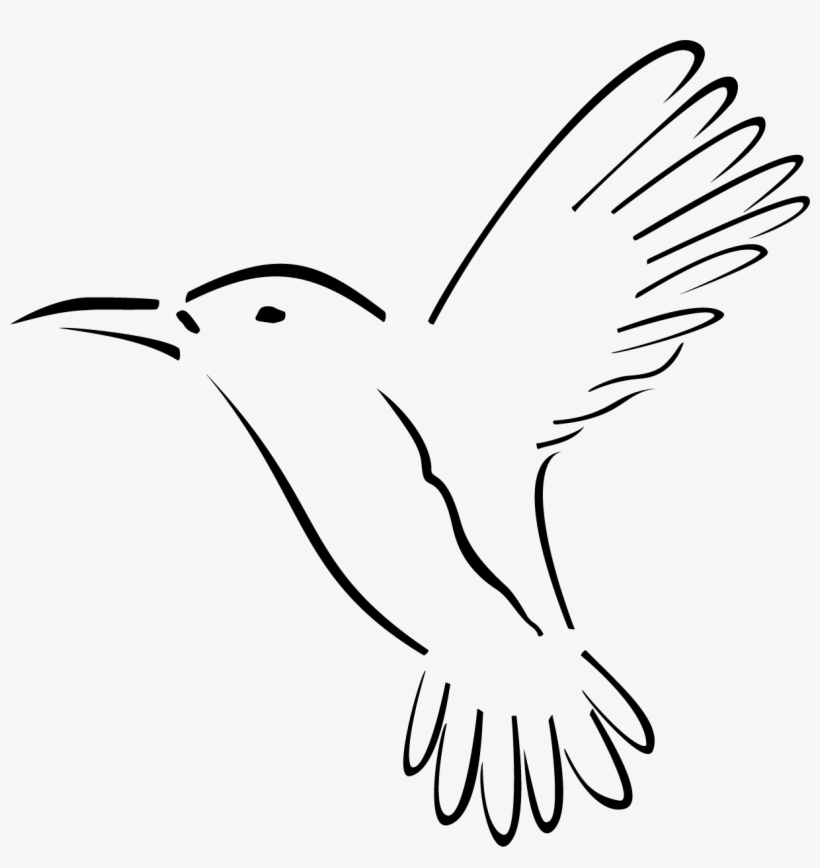 Kolibri Music, transparent png