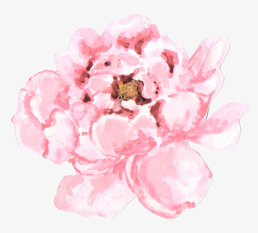The Studio - Png Pale Pink Peonies Transparent, transparent png