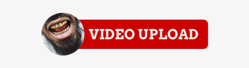 End Of Dialog Window - Definitive Guide To Corporate Explainer Video [book], transparent png