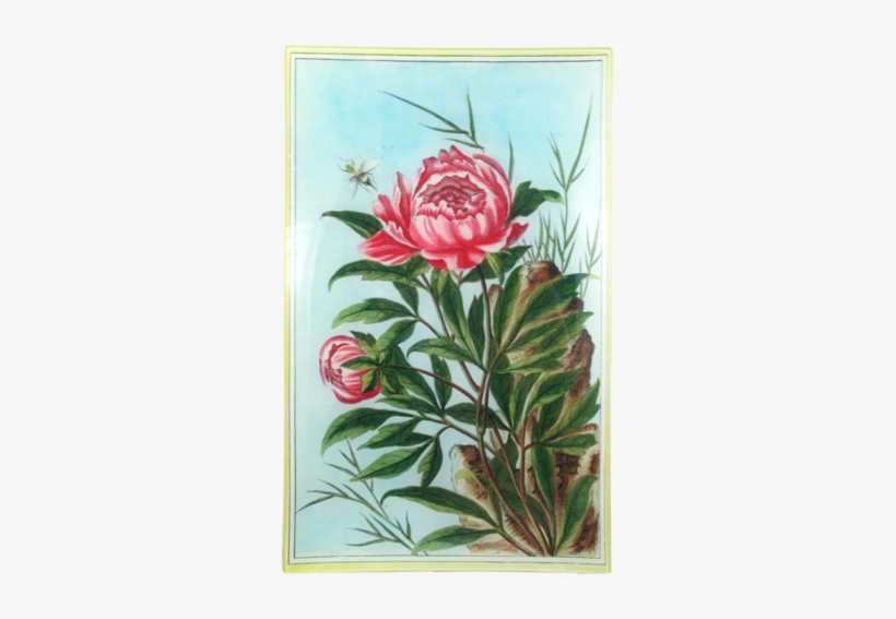 Collection Name - Designers Guild John Derian Peony Rectangular Plate, transparent png