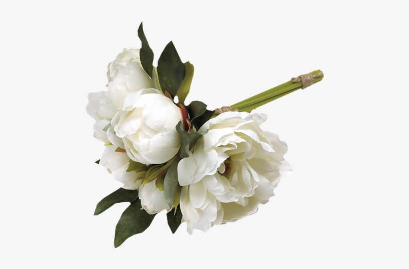White Peonies - Condolences For Loss Card, transparent png