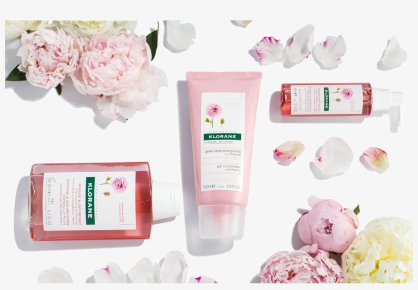 How To Use - Klorane Conditioner With Peony 200ml, transparent png