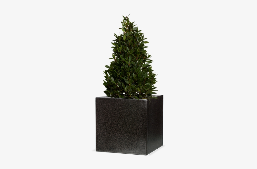 Capi Lux Terrazzo - Terrazzo, transparent png