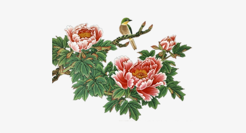 Fl-112 - Chinese Peonies Flower Png, transparent png