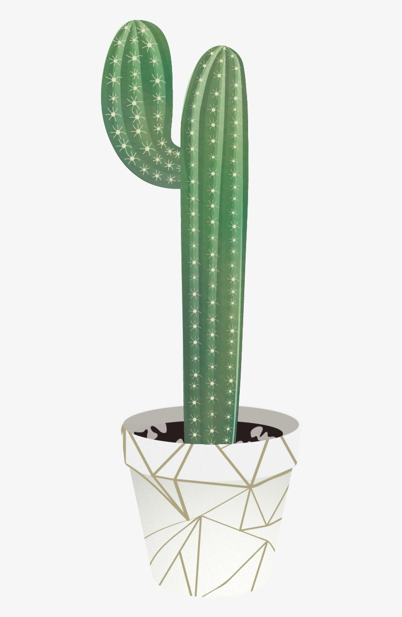 Tree People, Indoor Plants, Libraries, Diagram, Scenery, - Cactus, transparent png