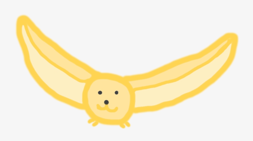 Fennec Fox, transparent png