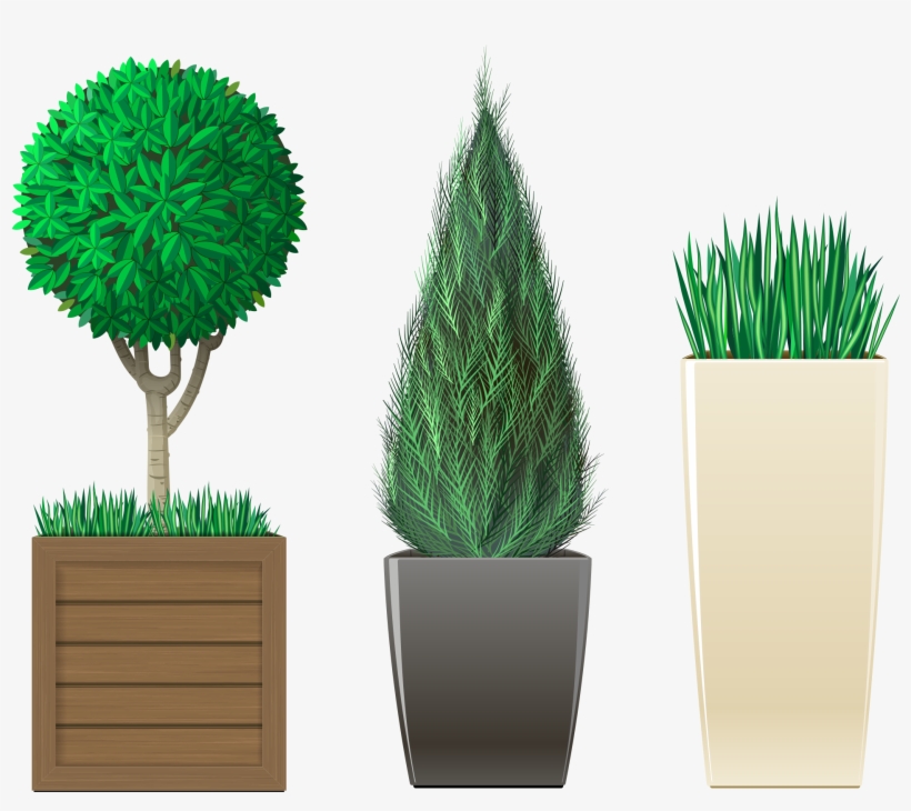Planting & Potting - Plants, transparent png