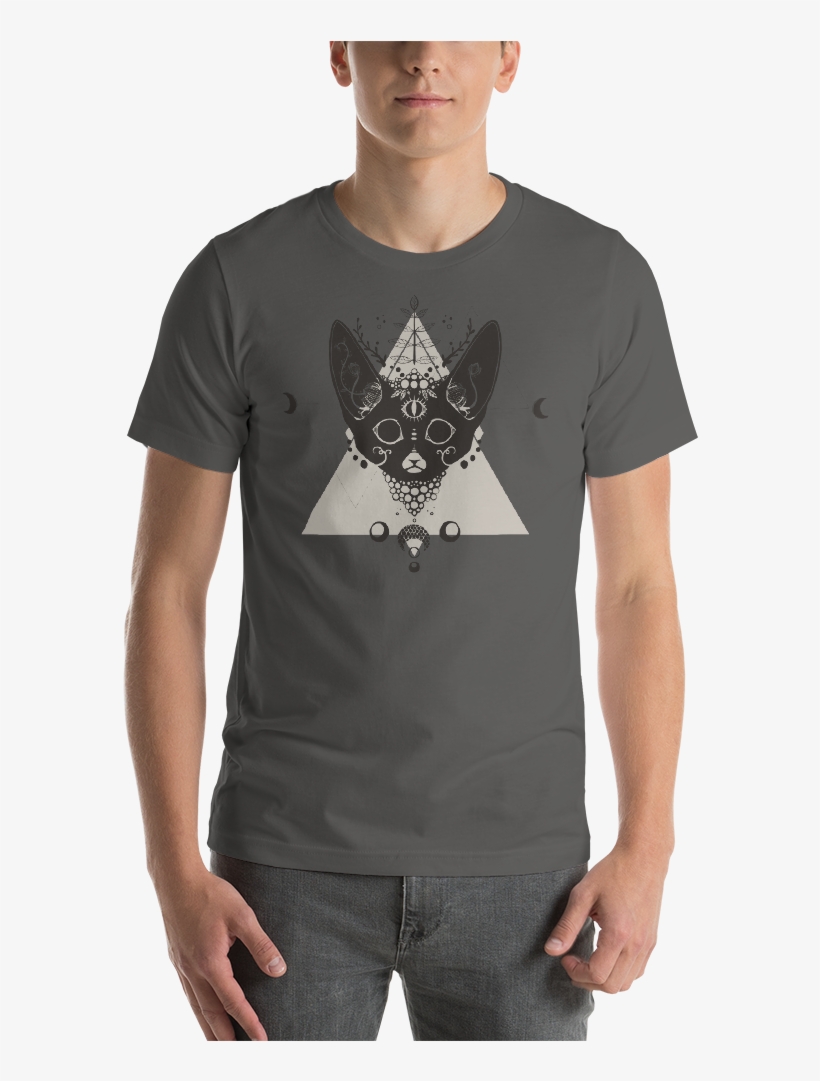 Fennec Fox With Third Eye Shirt, Short Sleeve Unisex - Preguntale A Tu Mama Shirt, transparent png