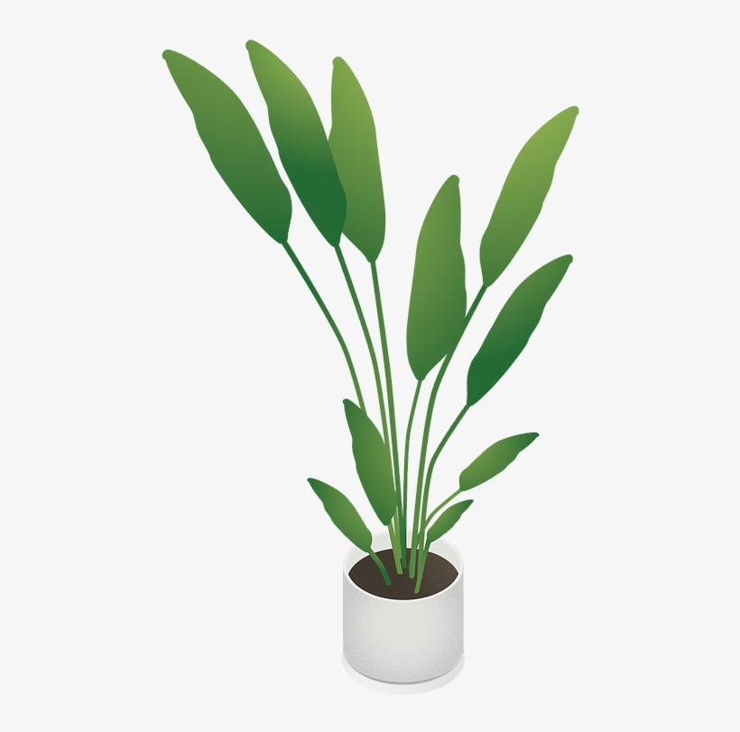 Free Isometric - Houseplant, transparent png