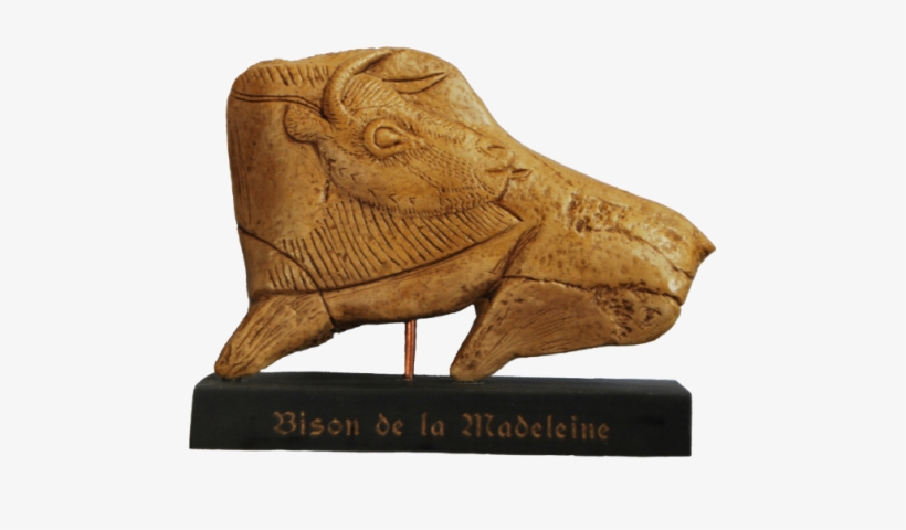 Madeleine - Fauna, transparent png