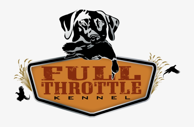 Gun Dog Training - Labrador Retriever Training Facility Kennels, transparent png