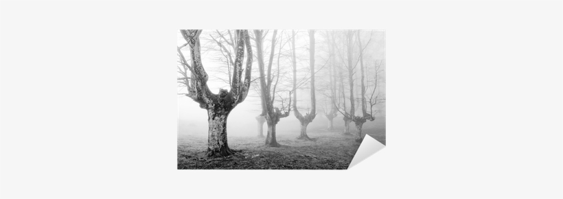 Creepy Forest, transparent png