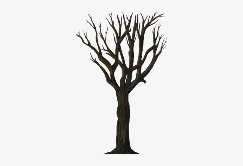 Tree-056 - Holloween Tree Png Transparent, transparent png