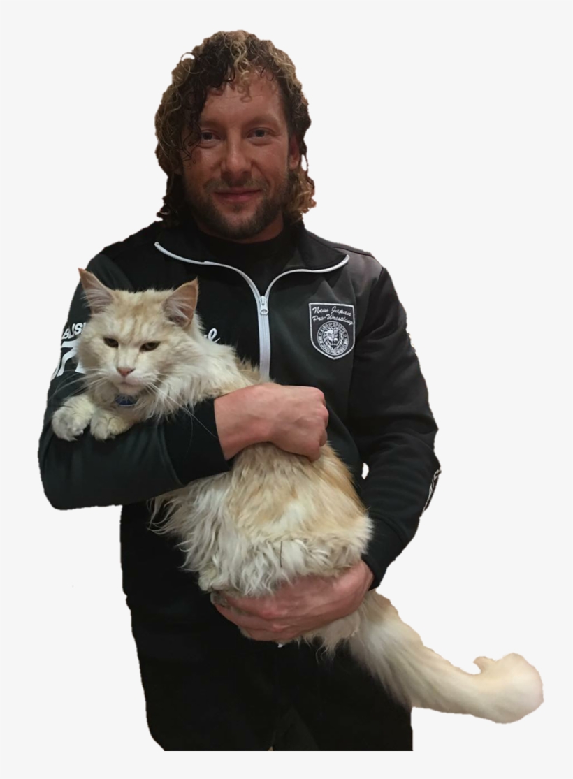 Kenny Omega Png Photo - Kenny Omega Cat, transparent png