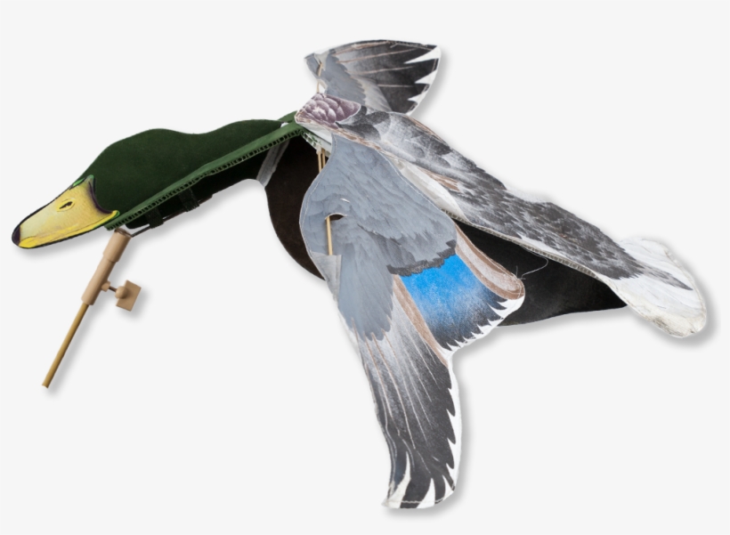 Image Of The Sillosocks Mallard Flapper - Duck Shooting, transparent png