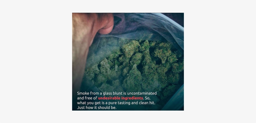 Weed, transparent png