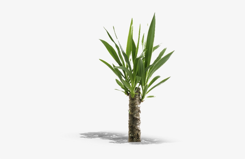Product Item - Peter Pepper Kona Planter Kp2420 - Steel - 24 Inch, transparent png