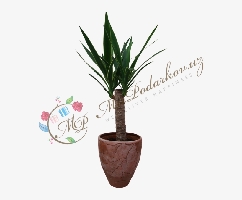 Flowerpot, transparent png