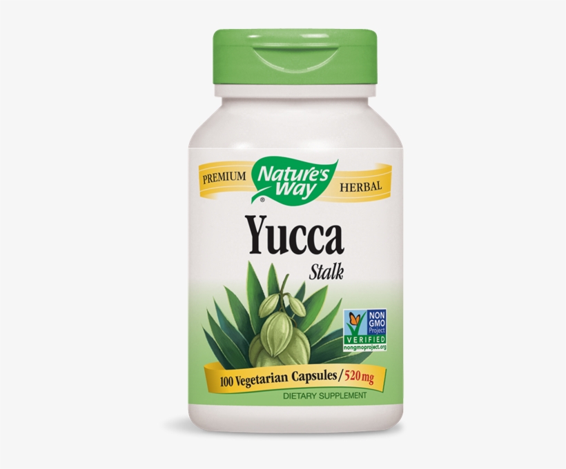 18300 - Yucca Stalk - Nature's Way Products, transparent png