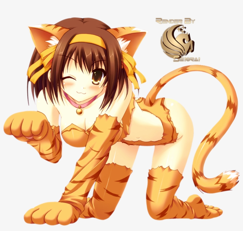 41 376k Susumiyaharuhisony 19 Feb 2011 - Anime, transparent png