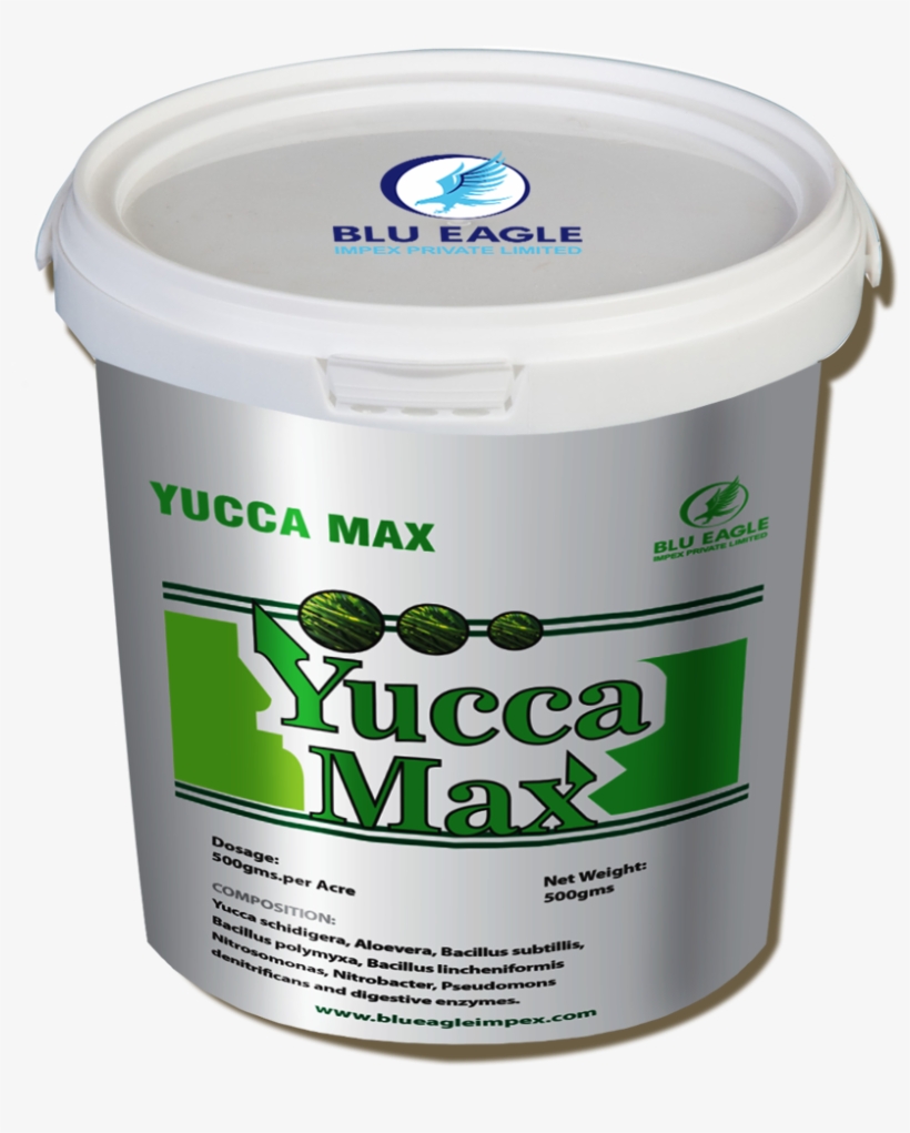 Prawns Products - Yucca Products, transparent png