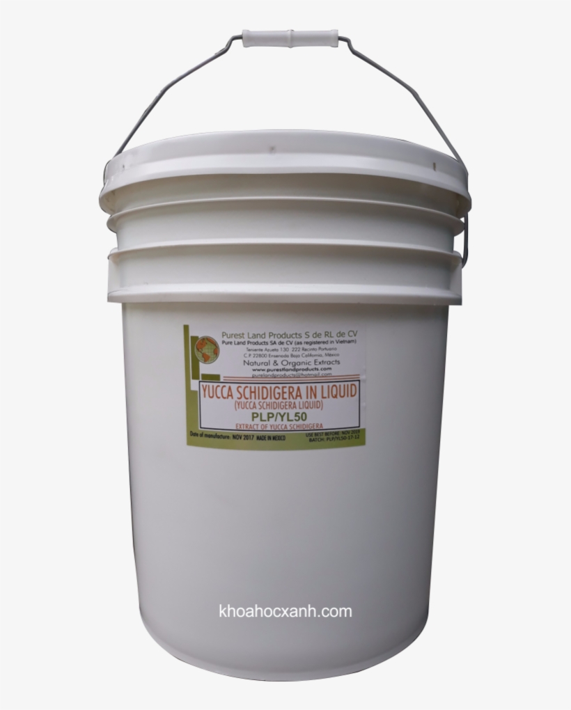 Yucca Schidigera Extract - Mojave Yucca, transparent png