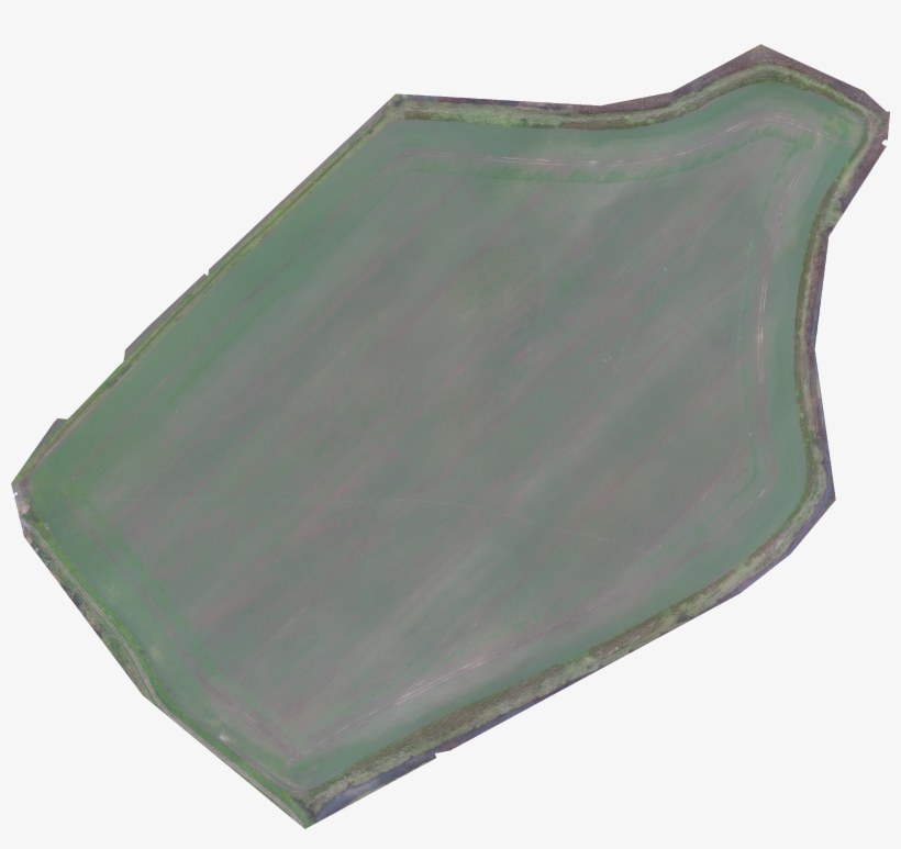 Winter Wheat Field Study December 14,, transparent png