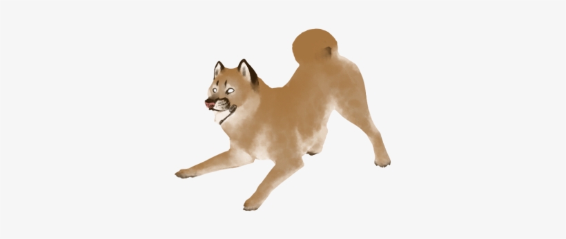 Cougardye - Shiba Inu, transparent png