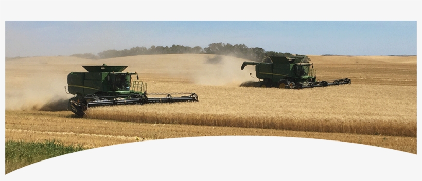 Field, transparent png