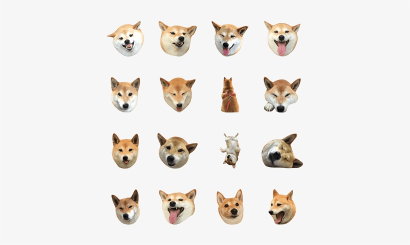 Buddy Love Life - Shiba Inu, transparent png