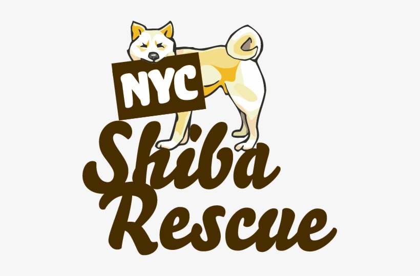 Nyc Shiba Rescue - New York City, transparent png