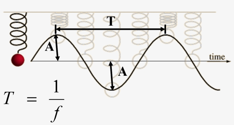 Amplitude And Period Indicated On Graph Of Sine Wave - Wave And Simple Harmonic Motion, transparent png