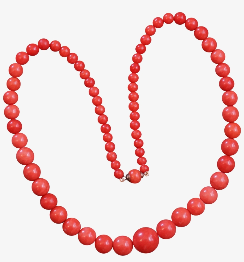 Victorian Coral Uchizono Gallery Llc Ruby Lane - Necklace, transparent png