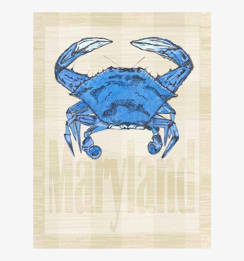 Maryland, transparent png