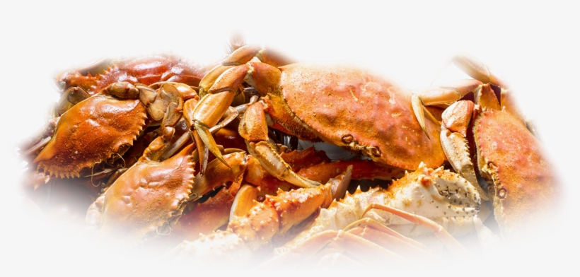 Picture Transparent Full Menu Chickie S Pete Blue Claw - Cooked Blue Claw Crab Transparent, transparent png