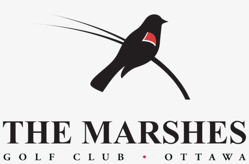 Marshes Logo Brookstreet Logo Blackhr - Town Hall, transparent png