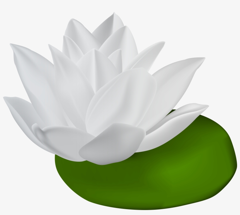 Go To Image, transparent png