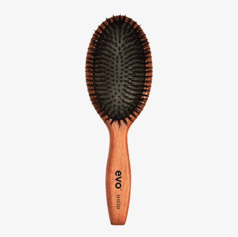 Bradford - Evo Boar Bristle Brush, transparent png