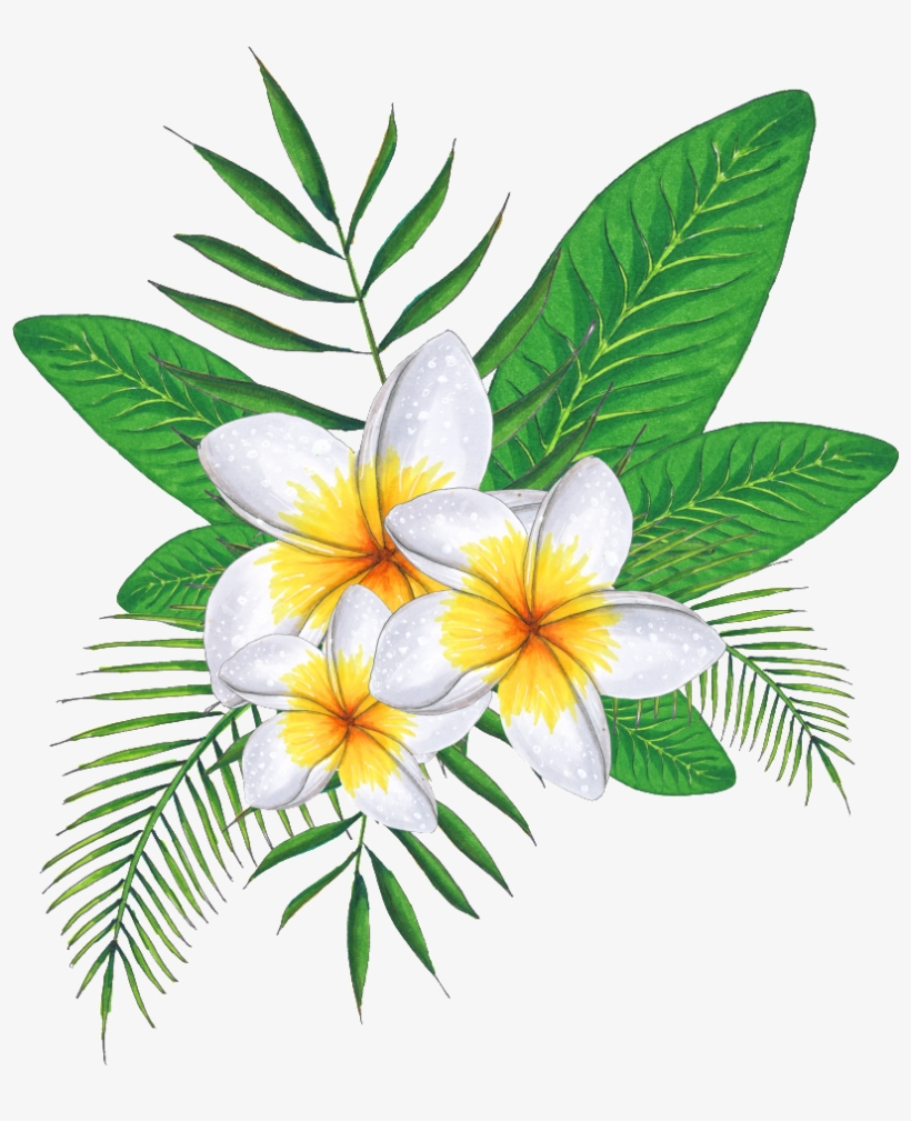 Este Gráficos Es Pintado A Mano De Flores De Tres Huevos - Rosa Glauca, transparent png