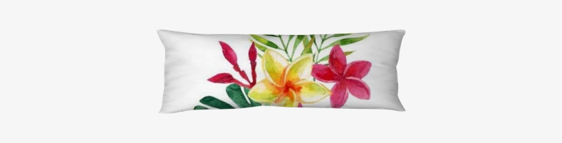 Dessin Fleurs Plumeria, transparent png