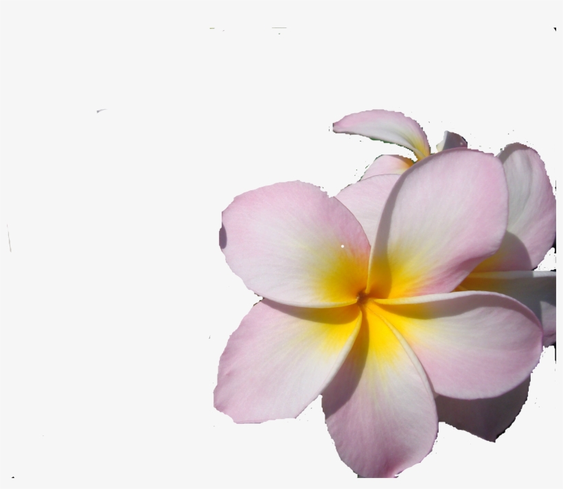Go To Image - It's Time To Get Selfish: A Journey Inside Of Self...a, transparent png