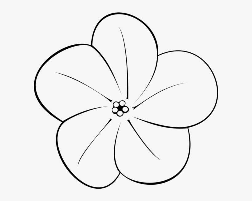Plumeria Flower Clipart - Black And White Plumeria Flower, transparent png