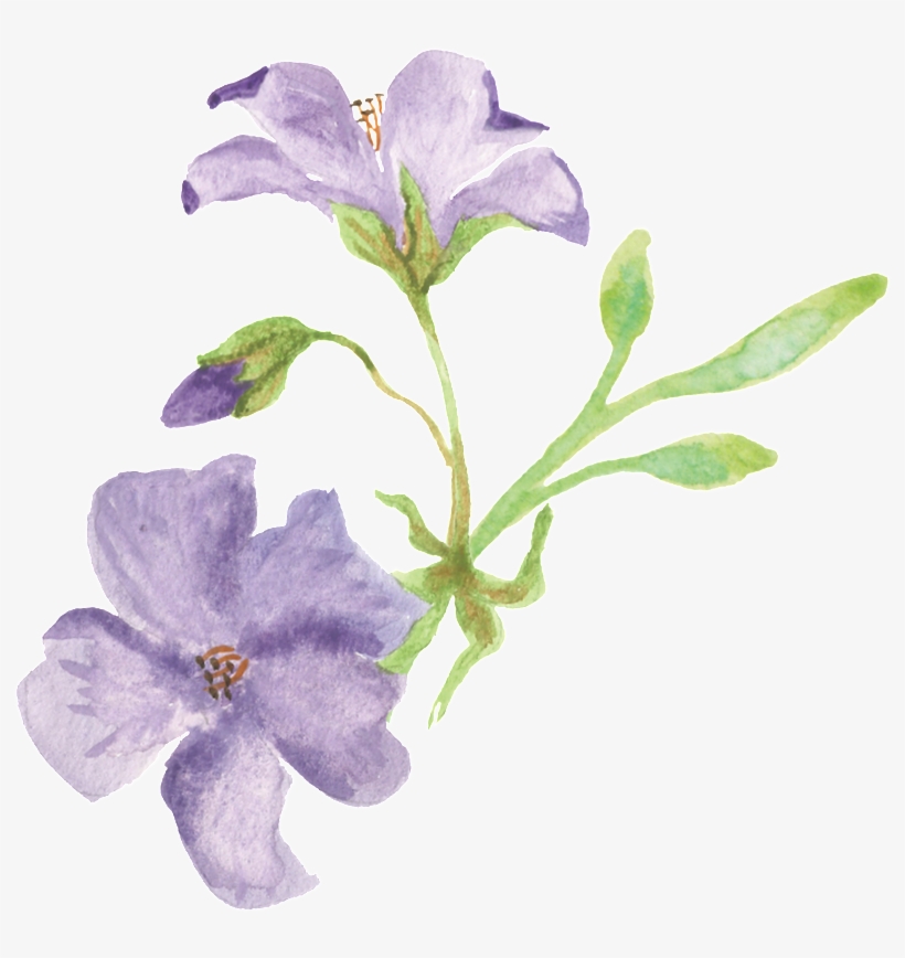 Purple Frangipani Leaf Cartoon Transparent - 卡通 花圈, transparent png