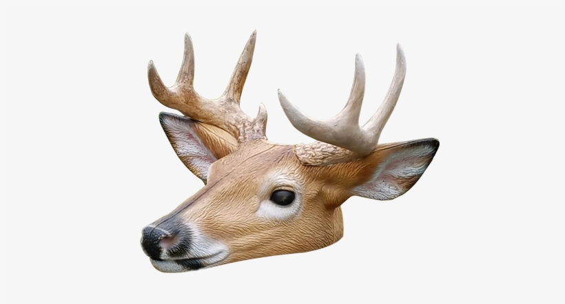 Elk, transparent png