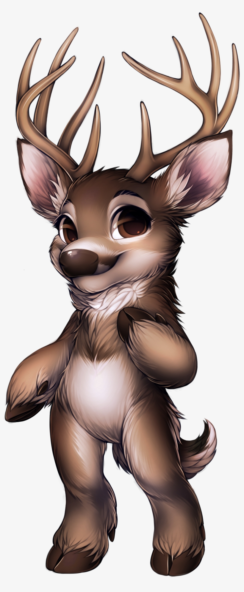 66 11 White Tailed - Antlers Png Drawing Furry, transparent png