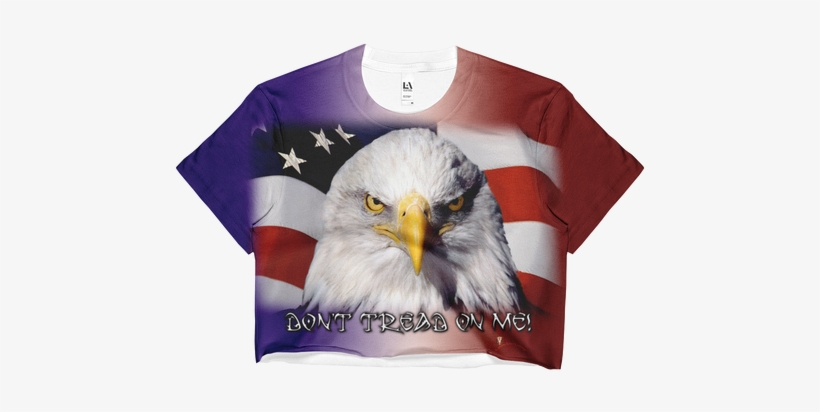 Usa American Flag Eagle Cool 24x18 Print Poster, transparent png