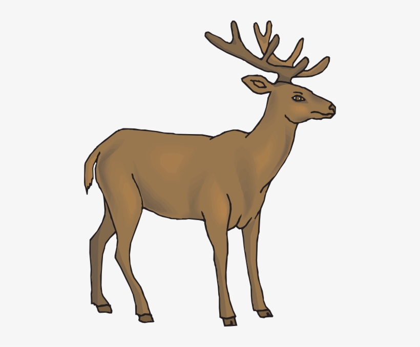 How To Set Use Brown Deer Svg Vector, transparent png
