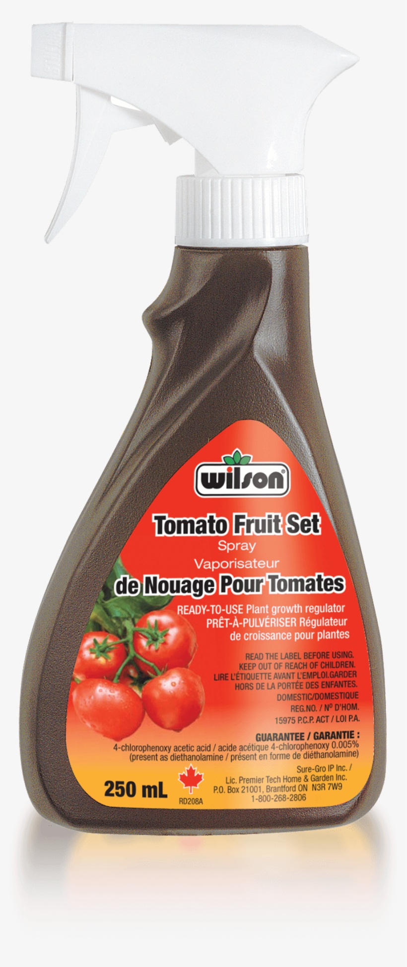 Fruit, transparent png