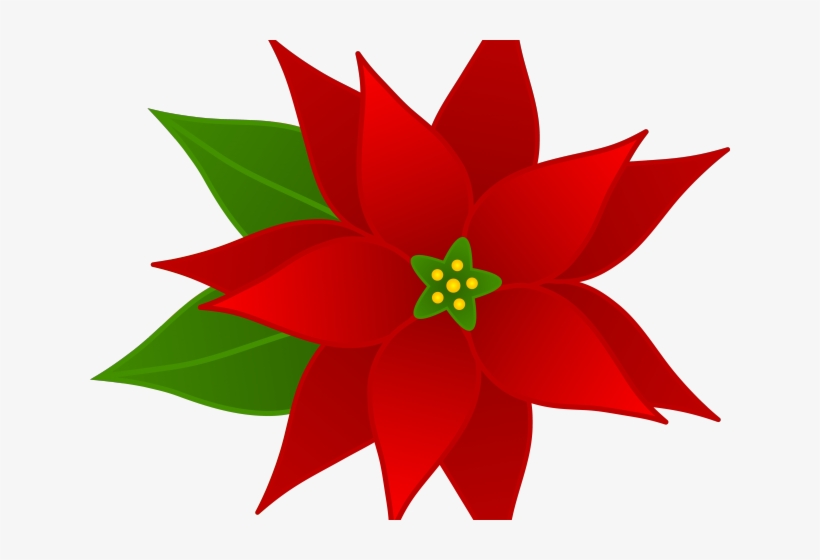 Christmas Poinsettia Clipart - Poinsettia Clip Art, transparent png